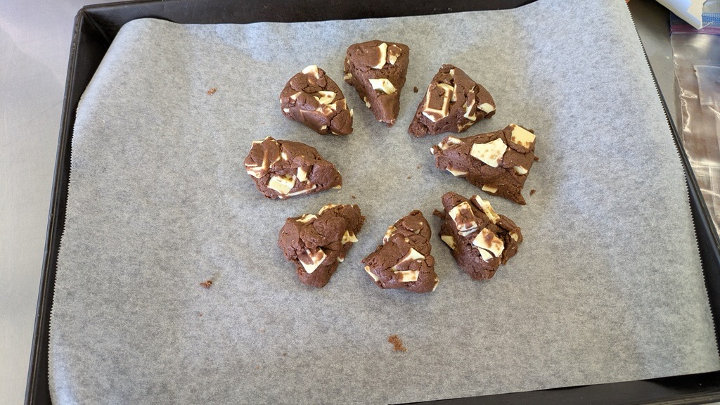 Image - 2026-03-19T111122.970